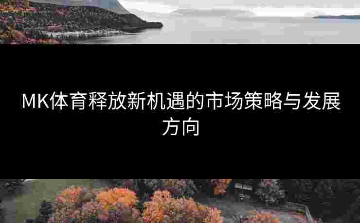 MK体育释放新机遇的市场策略与发展方向